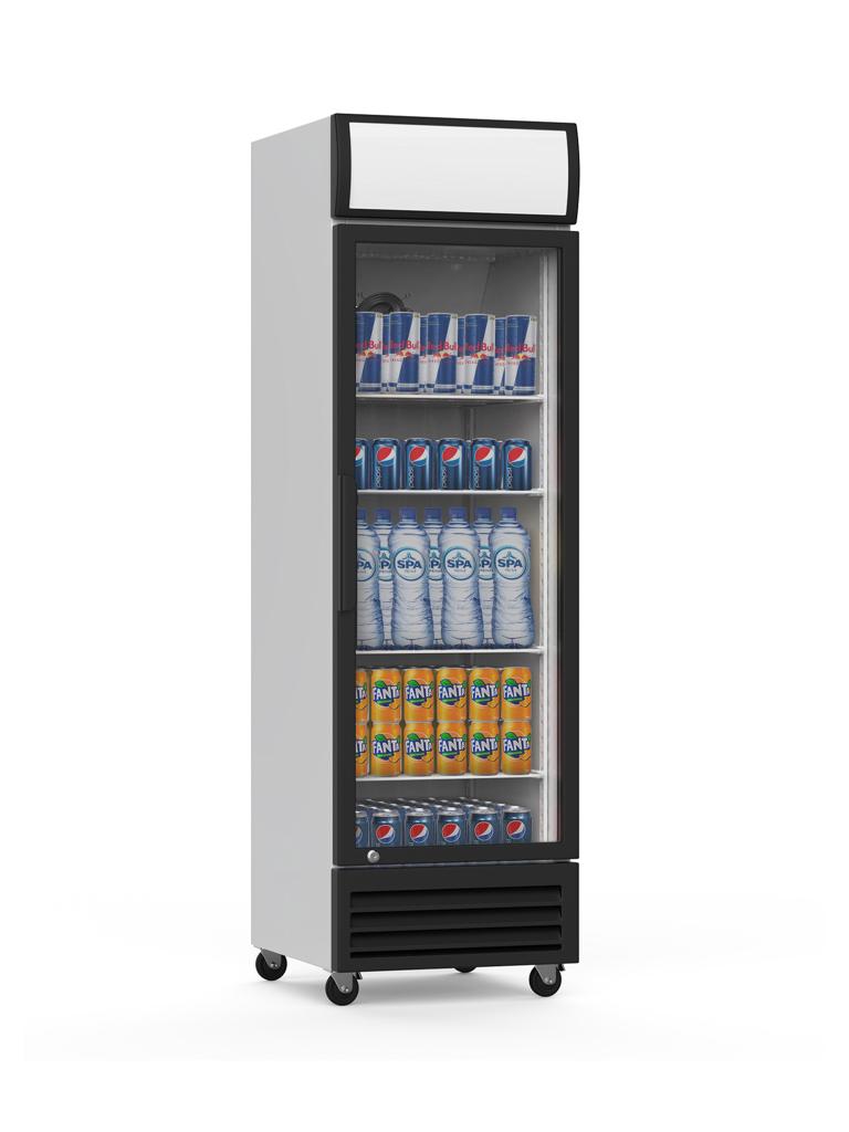 Réfrigérateur porte vitrée - 360 Litre - 1 porte - Blanc - Gastro