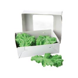 Décoration verte - 13 CM - 0,5 KG - 18,5 CM - - Vert - 828010
