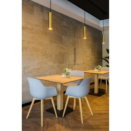 Chaise Alexia - Gris clair / Aspect bois - Synthétique - G-Line