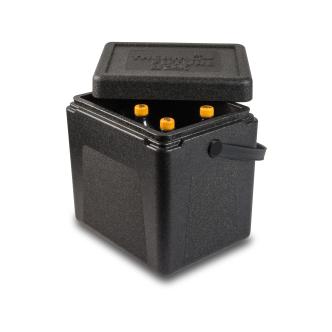 Thermobox - Sangle de transport - H 36,5 x 36 x 28,5 CM - 20 Litres - G-Line 77637 €39.95 Thermobox