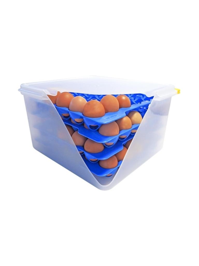 Boîte de conservation des œufs - H 20 x 32,5 x 35,4 CM - 1 663 KG - Transparent - 19 Litre - -40°C / +90°C - Hermétique Verrouillable - Araven - 962110