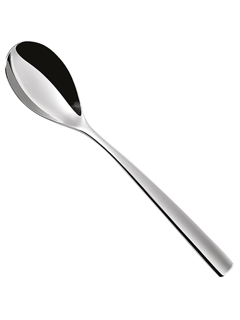 Cuillère de Table - 0,055 KG - 20 CM - Inox 18/10 - ProSup - 744112
