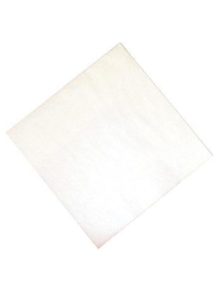 Serviettes - 1500 pièces - Blanc - 33 x 33 CM - Papier - Fasana - CK874