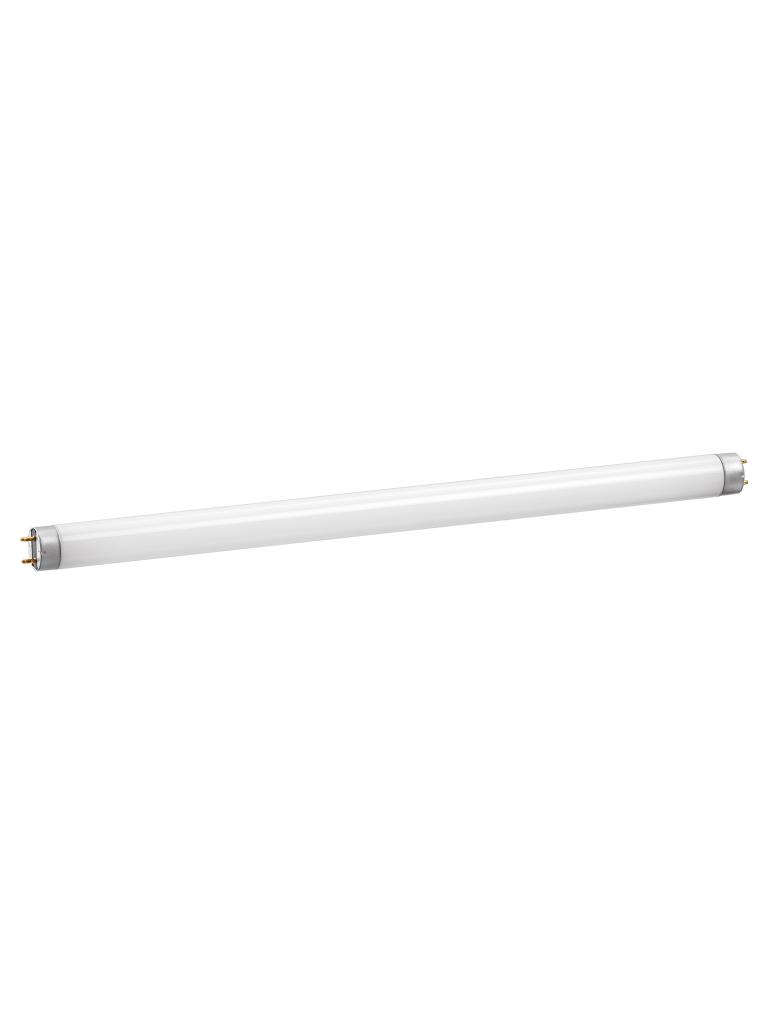 Tube néon - 300321 - Bartscher - 300325