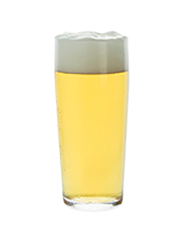 Verre à bière - 19 CL - 12 pièces - Mammouth - Budgetline - 136158