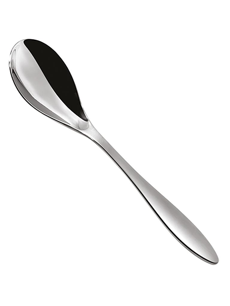 Cuillère de Table - 0,076 KG - 21 CM - Inox 18/10 - ProSup - 744612