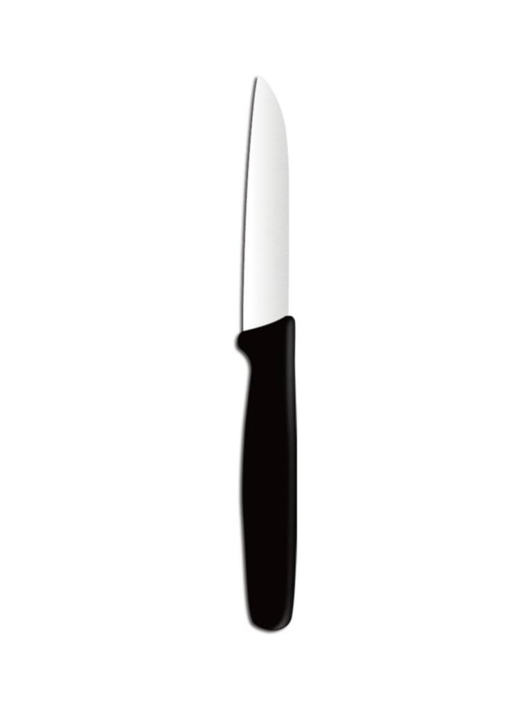 Couteau à éplucher - Inox polypropylène - H 2 X 1 X 18 CM - Hendi - 841105
