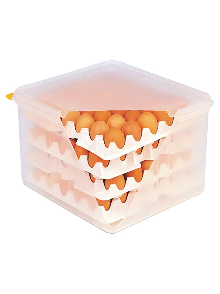 Boîte de conservation des œufs - avec 8 plateaux - 30 œufs par plateau - H 20 x 35,4 x 32,5 CM - G-Line