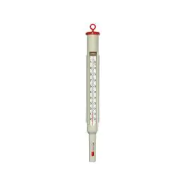 Thermomètre de Cuisson - 0,05 KG - 28 CM - Verre - +0°C / +100°C - 843002