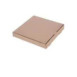 Boîtes à pizza - Compostable - 100 pièces - H 4,6 x 31,1 x 31,1 CM - Carton - Fiesta Green - DC724