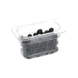Bac gastronorme - 1/9 GN - 65 MM - Transparent - Polycarbonate - G-Line