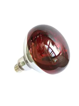 Lampe chauffante Infrarouge - Rouge - 250 W - G-Line