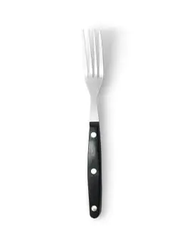 Fourchette à steak - acier inoxydable - L 22 CM - G-Line