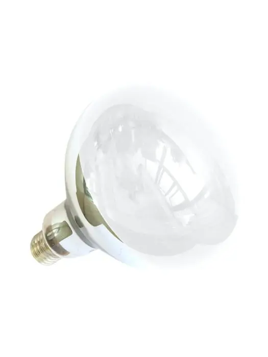Lampe chauffante Infrarouge - Blanc - 250 W - G-Line 76615 €10.95 Lampe chauffante