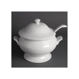 Soupière - H 27 x 22,7 x 24 CM - Olympia - Y094