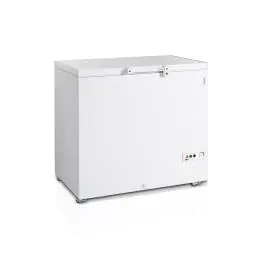 Congélateur de restauration - 273 litres - Blanc - Incl. roues - Tefcold - FR305