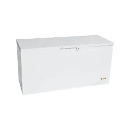 Congélateur - Couvercle à charnière isolé - Contrôle manuel de la température - Acier peint par poudrage - 492 litres - 230V - H 86,5 x L 170,5 x P 65,5 CM - Saro - 481-1070