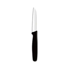 Eplucheur - Polypropylène inox - H 2 X 1 X 18 CM - Hendi - 841105