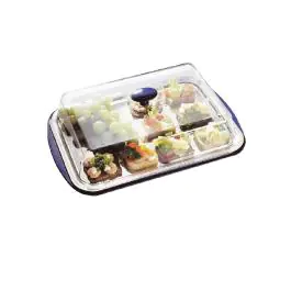 Échantillon de service - Frais - 5 pièces - H 14 x 43 x 29 CM - Inox/Plastique - APS - U265