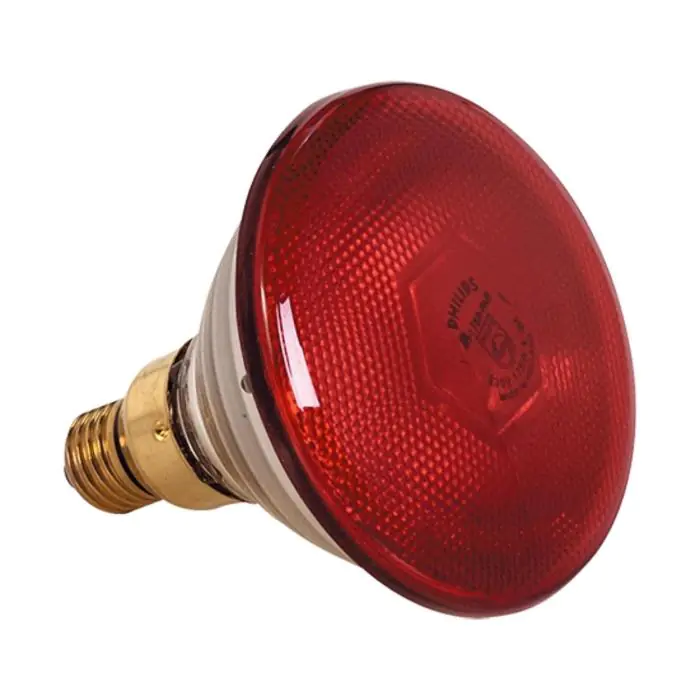 Lampe chauffante - 0,6 KG - 220 - 240 V - 175 W - Verre - Rouge - 093500 093500 €18.85 Lampe chauffante