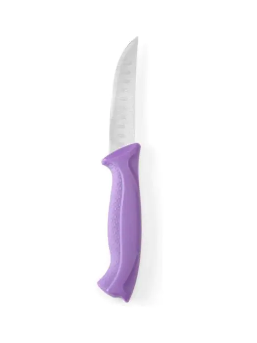 Couteau universel - Polypropylène acier inoxydable - H 4 X 2,5 X 19 CM - Hendi - 842270 842270 €3.10 Couteaux