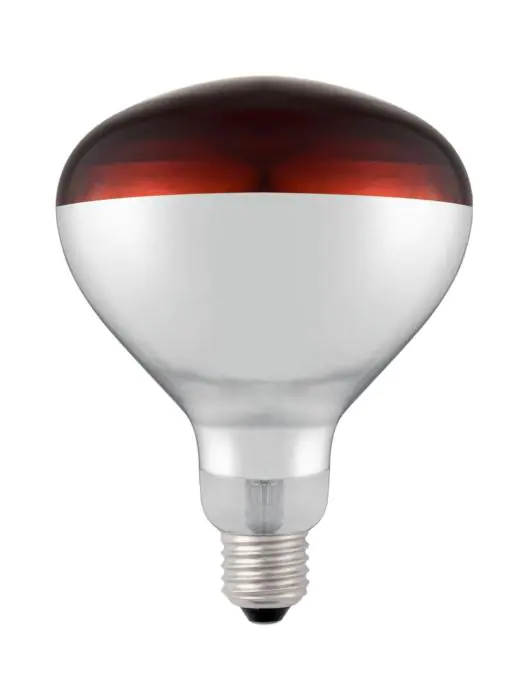 Lampe à chaleur infrarouge - H 17 X 12,5 CM - Hendi - 919217 919217 €13.95 Lampe chauffante