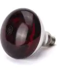 Lampe à chaleur infrarouge - H 17 X 12,5 CM - Hendi - 919217 919217 €13.95 Lampe chauffante