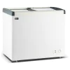 Glacière / Coffre à glace - 200 litres - Porte coulissante en verre - Modèle droit - G-Line