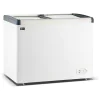 Glacière / Coffre à glace - 300 litres - Porte coulissante en verre - Modèle droit - G-Line