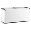 Glacière / Coffre à glace - 600 litres - Porte coulissante en verre - Modèle droit - G-Line