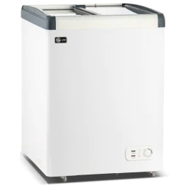 Glacière / Coffre à glace - 150 litres - Porte coulissante en verre - Modèle droit - G-Line