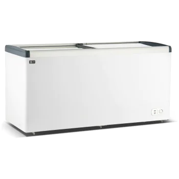 Glacière / Coffre à glace - 600 litres - Porte coulissante en verre - Modèle droit - G-Line